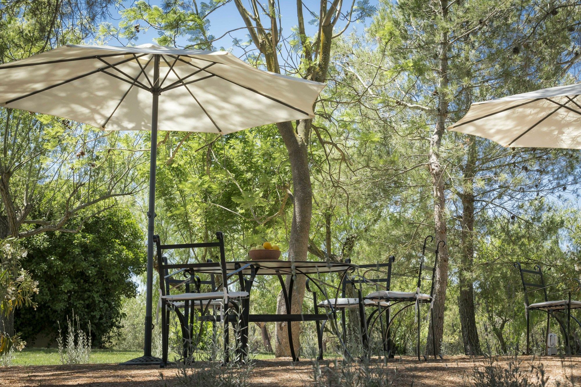 Finca Son Miranda - La Organic Сенсельес Экстерьер фото
