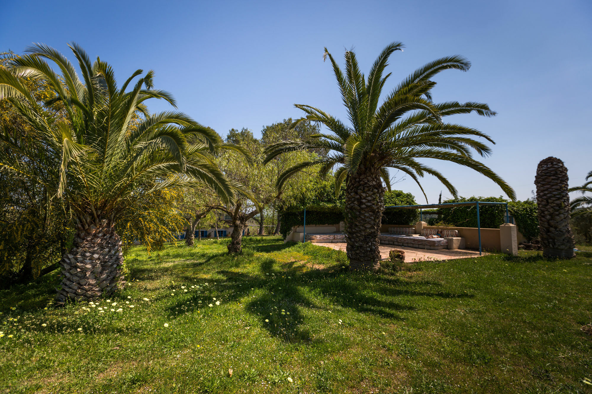 Finca Son Miranda - La Organic Сенсельес Экстерьер фото