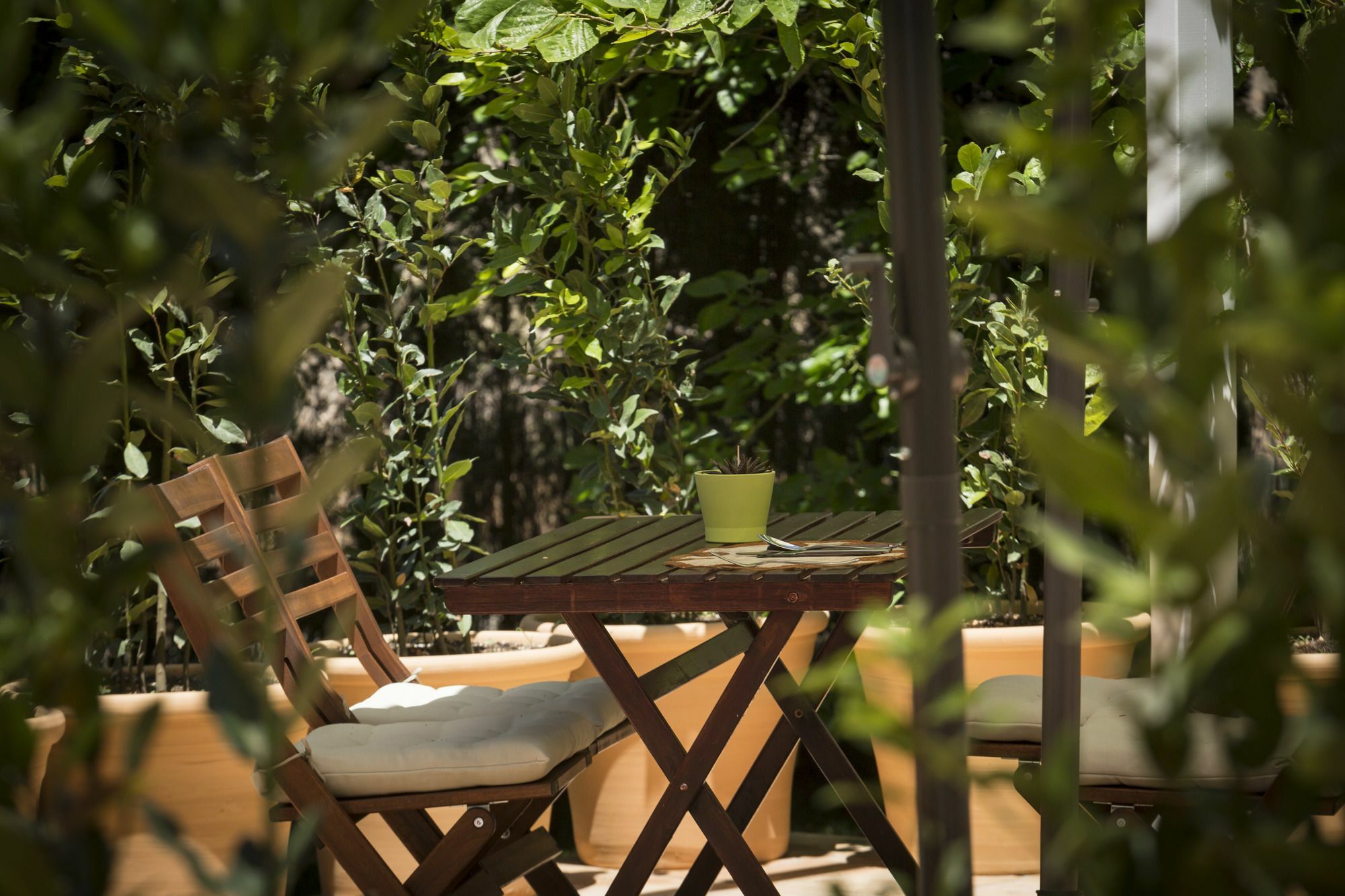 Finca Son Miranda - La Organic Сенсельес Экстерьер фото