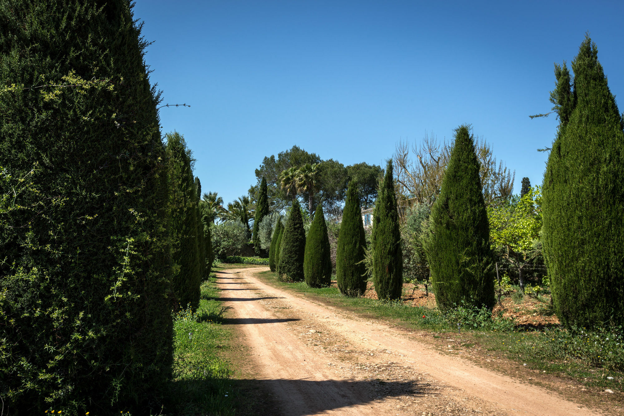 Finca Son Miranda - La Organic Сенсельес Экстерьер фото