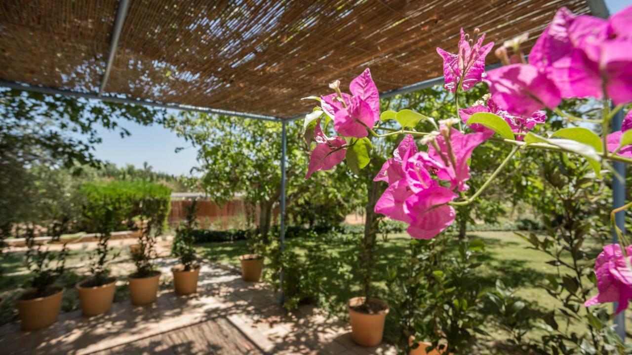 Finca Son Miranda - La Organic Сенсельес Экстерьер фото